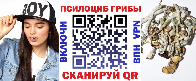 Псилоцибиновые грибы мухоморы  купить наркотик  KRAKEN сайт  Тырныауз 