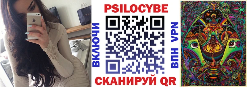 Псилоцибиновые грибы Cubensis Тырныауз